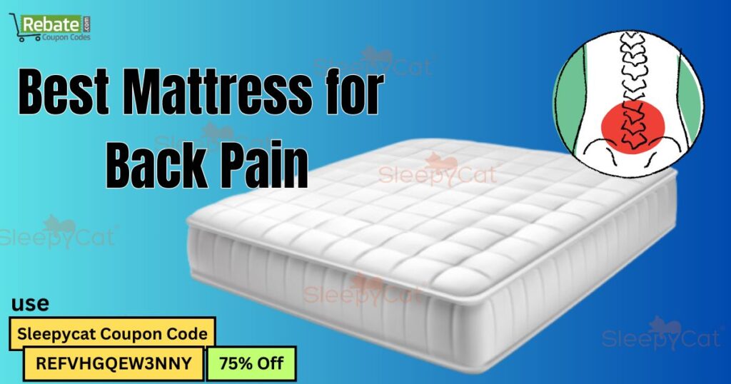 Best Mattress for Back Pain